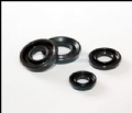 Oil seals