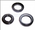 Oil seals