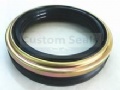 Oil seals